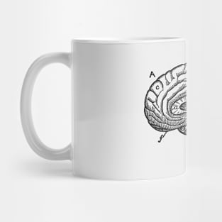 Simple Brain Diagram Mug